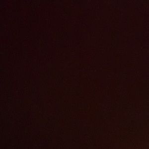 Meet your Posher, Tj